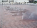 IMG 1613