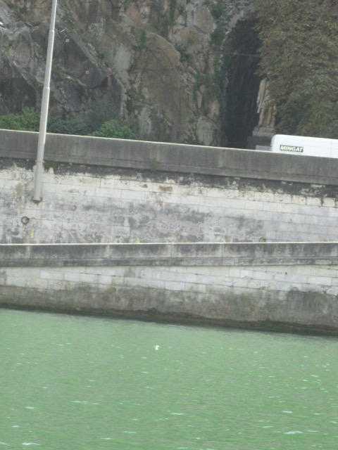 IMG 1620