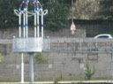 IMG 1623