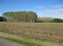 IMG 1721
