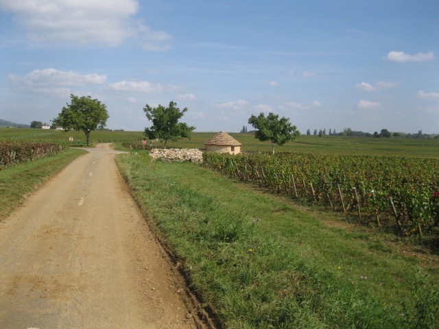 IMG 1772
