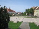 IMG_2222