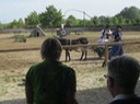 IMG_2254