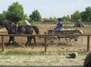 IMG_2257