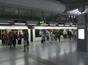 IMG_2364