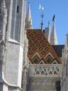 IMG_2446
