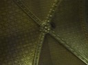 IMG_2513