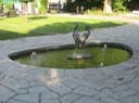 IMG_2694