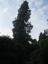 IMG_2746