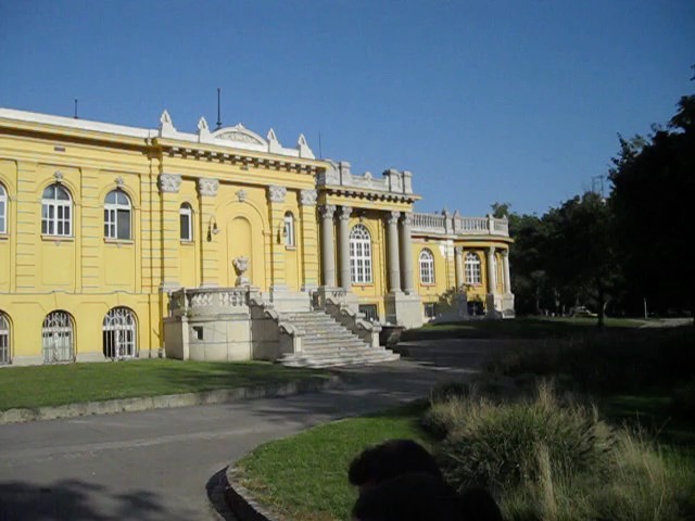 mvi_2535