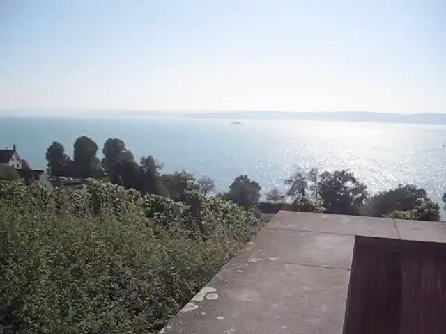 mvi_2725