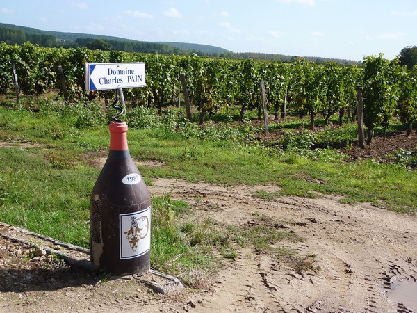 P1100553-M
